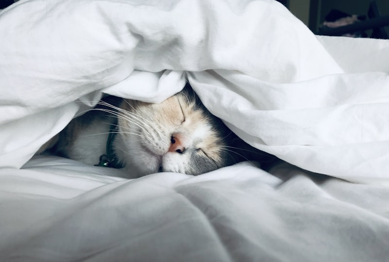 The Sleep-Blood Sugar Connection: Why Rest Matters for Glucose Control
